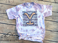 Yellowstone Black/Cheetah Tan Tye Dye Tee